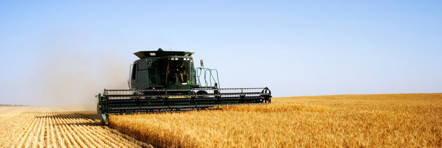 Farmer harvesting crop with combine